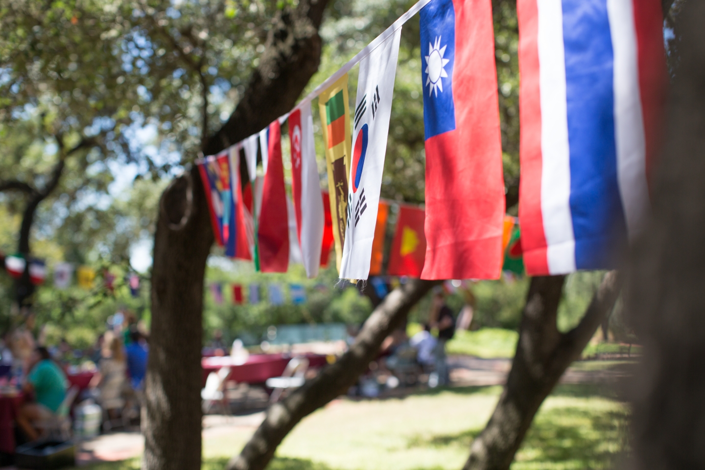small flags hang on a line between two trees
