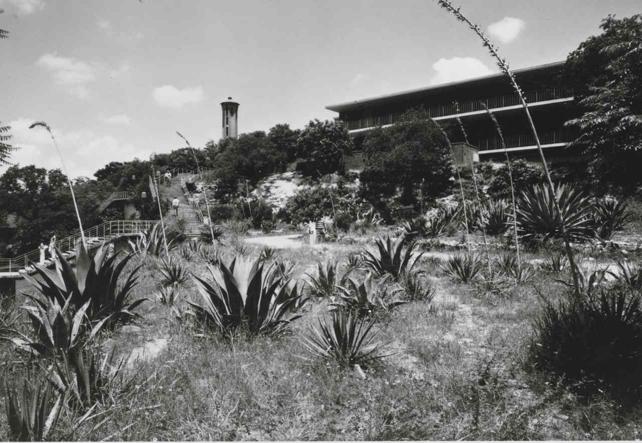 Black and White image of Trinity buildings and Tower