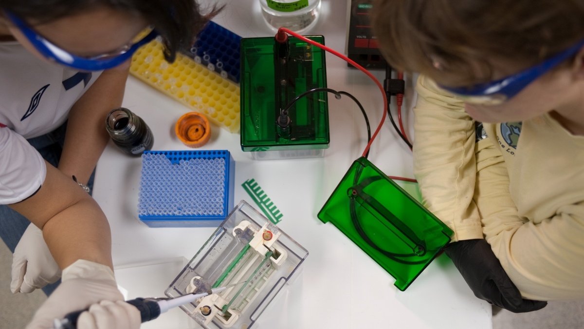 Students injecting substance into test tubes