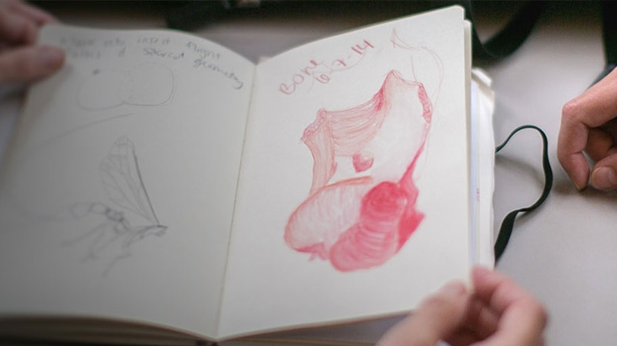 Two Hands Examining a Piece of Art