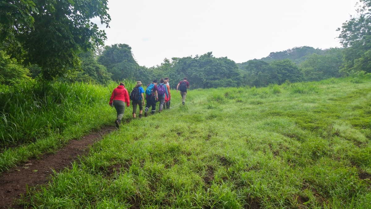 Students hiking up a path on a grassy hill.