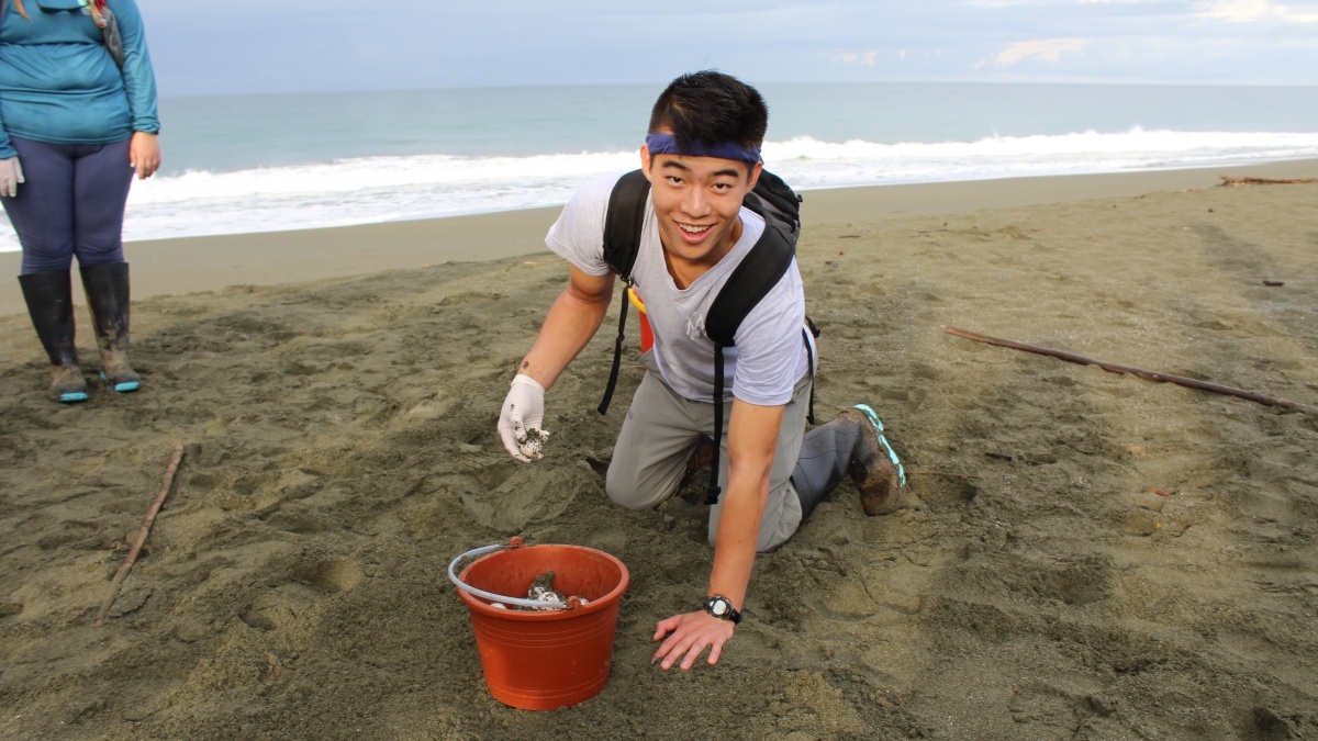 Man collects samples into a bucket on the beach.